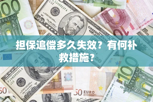 武汉担保追偿多久失效？有何补救措施？