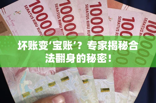 武汉坏账变‘宝账’?专家揭秘合法翻身的秘密! 武汉坏账变‘宝账’?专家揭秘合法翻身的秘密!
